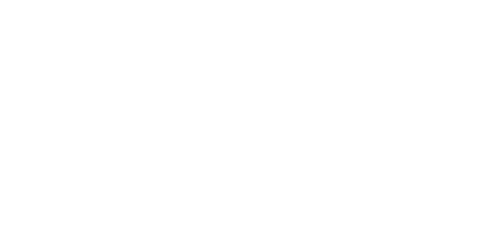 CEO Solutions